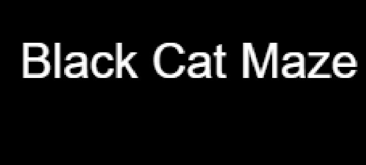 Black Cat Maze